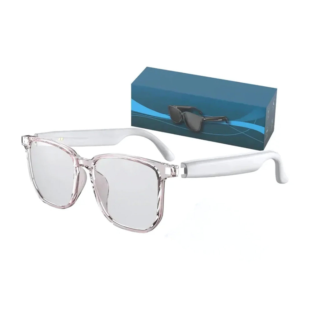 AI Powered Translation Glasses